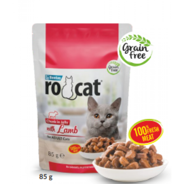 ROCAT POUCH SOMONLU 85G JÖLELİ YAŞ MAMA